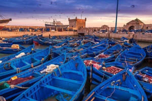 Essaouira Coastal Charm Day Trip 3