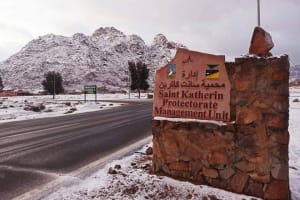 Saint Catherine Monastery Private Tour with Lunch 4