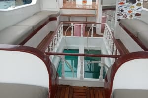 Glass Boat Sea Trip with Parasailing in Sharm El Sheikh 4