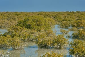 North Qatar Exploration Tour 3