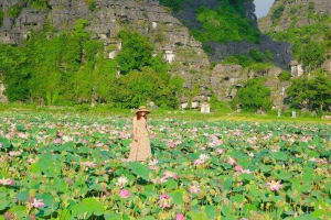 Hoa Lu Tam Coc or Trang An Full-Day Tour 3