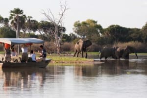 Selous Fly-In Safari from Zanzibar 4