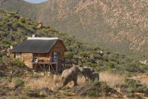 Aquila Safari Early Morning Game Drive 3