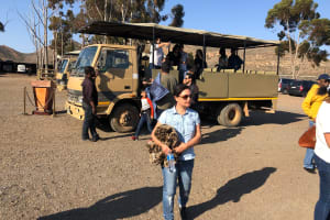 Aquila Safari Shared Transfers from Cape Town 3