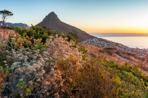 Private Lion's Head Sunrise & Sunset Hike 4