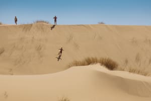 Cape Town Sandboarding & Quad Biking Adventure 4