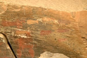 Giants Cave Paintings & Mandela Capture Site Tour 3