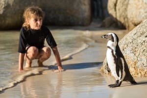 Cape Town's Iconic Day Tour 4