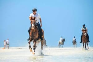 Zanzibar Island & Selous Safari Adventure 3