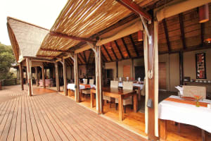 5-Day Big 5 Safari at Amakhala & Addo Elephant Park 3