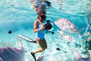 Giftun and Magawish Islands Snorkeling Adventure 4