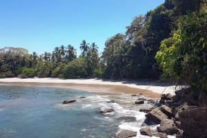 Manuel Antonio National Park Day Trip 3