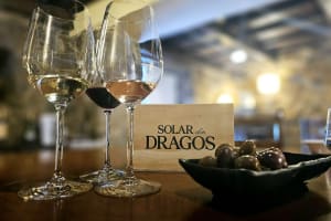 Douro Valley Wine Tasting Experience 3
