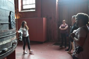 Porto Port & Douro Wine Tour 3