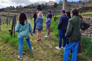 Douro Valley Wine Tour with River Cruise 3