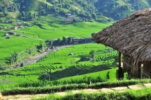 Sapa 2-Day Trekking Adventure from Hanoi 4
