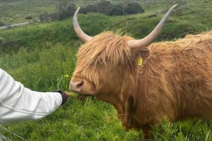 Highlands Whisky & Pitlochry Day Tour 3