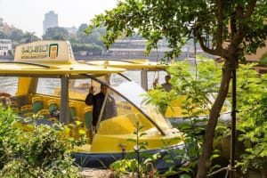 Nile River Adventure in Cairo 4
