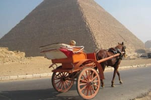 Private Half-Day Giza Pyramids & Sphinx Tour 3