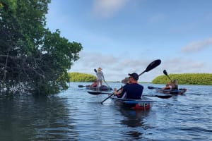 Clear Kayak Tour of Shell Key Preserve and Tampa Bay Area 3