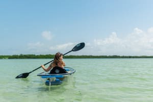 Clear Kayak Tour of Shell Key Preserve and Tampa Bay Area 4