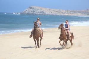Cabo White Sand Horseback Riding Tour 3