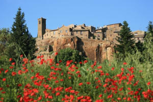 Assisi and Orvieto Day Trip from Rome 3
