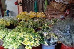 Good Morning Saigon Motorbike Tour 4