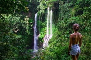 Private Sekumpul & Aling-Aling Waterfall Tour 4