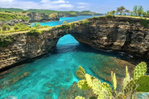 Kelingking Beach Nusa Penida Instagram Tour 4