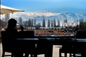 Private Mendoza Wine Tour from Buenos Aires 3