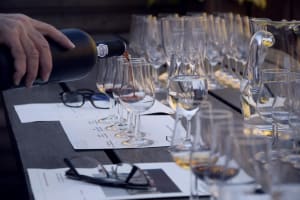 Malbec Wine & Urban Art Tour 3