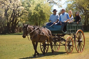 Authentic Argentinian Estancia Experience 4
