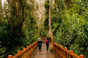 Discover Bariloche: 4-Day Mountain & Lake Adventure 3