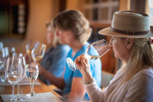 7-Day Chilean & Argentinean Wine Tour 4