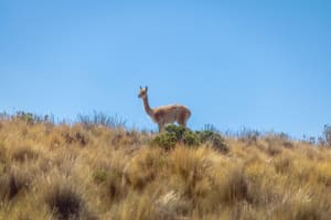 3-Day Salta & Purmamarca Adventure 3