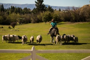 2-Day El Calafate Escape with Airfare 3