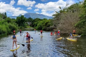 Private Oahu Island Tour with Snorkeling 3