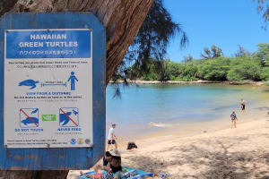 Oahu Circle Island Adventure in Spanish 3