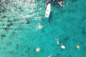 Hvar and Brac Catamaran Cruise with Lunch and Drinks from Split 4