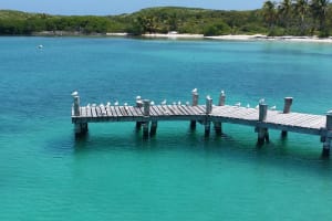 Isla Contoy & Isla Mujeres Snorkeling Tour 3
