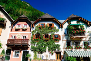 Vienna to Hallstatt Day Trip 4