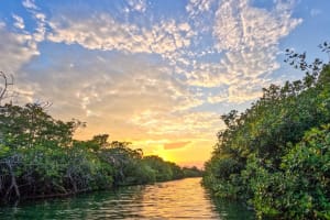 Sian Ka'an Sunset Boat Tour 4