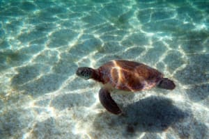 Private Underground River Snorkeling Tour 3