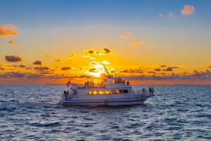 Key West Glass-Bottom Boat Tour with Sunset Option 4