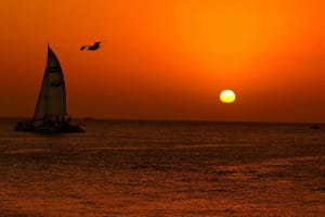 Key West Rum and Reggae Sunset Sail 4