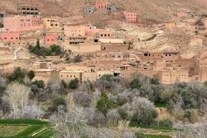 10-Day Atlantic Coast & Desert Tour 4