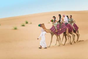 Dubai Desert Safari with Camel Ride and Sandboarding 3