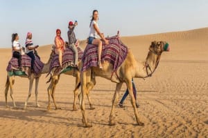 Dubai Desert Adventure: Quad Bike, Camel Ride & Sandboarding 4