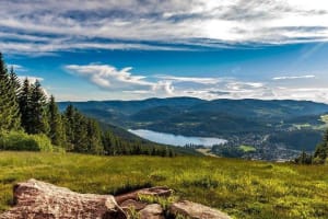 Black Forest and Rhine Falls Day Trip from Zurich 4